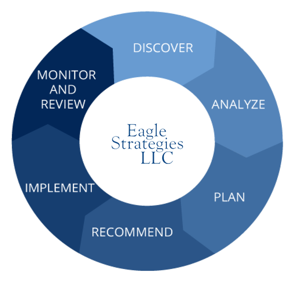 Eagle Strategies Process Wheel Illustration